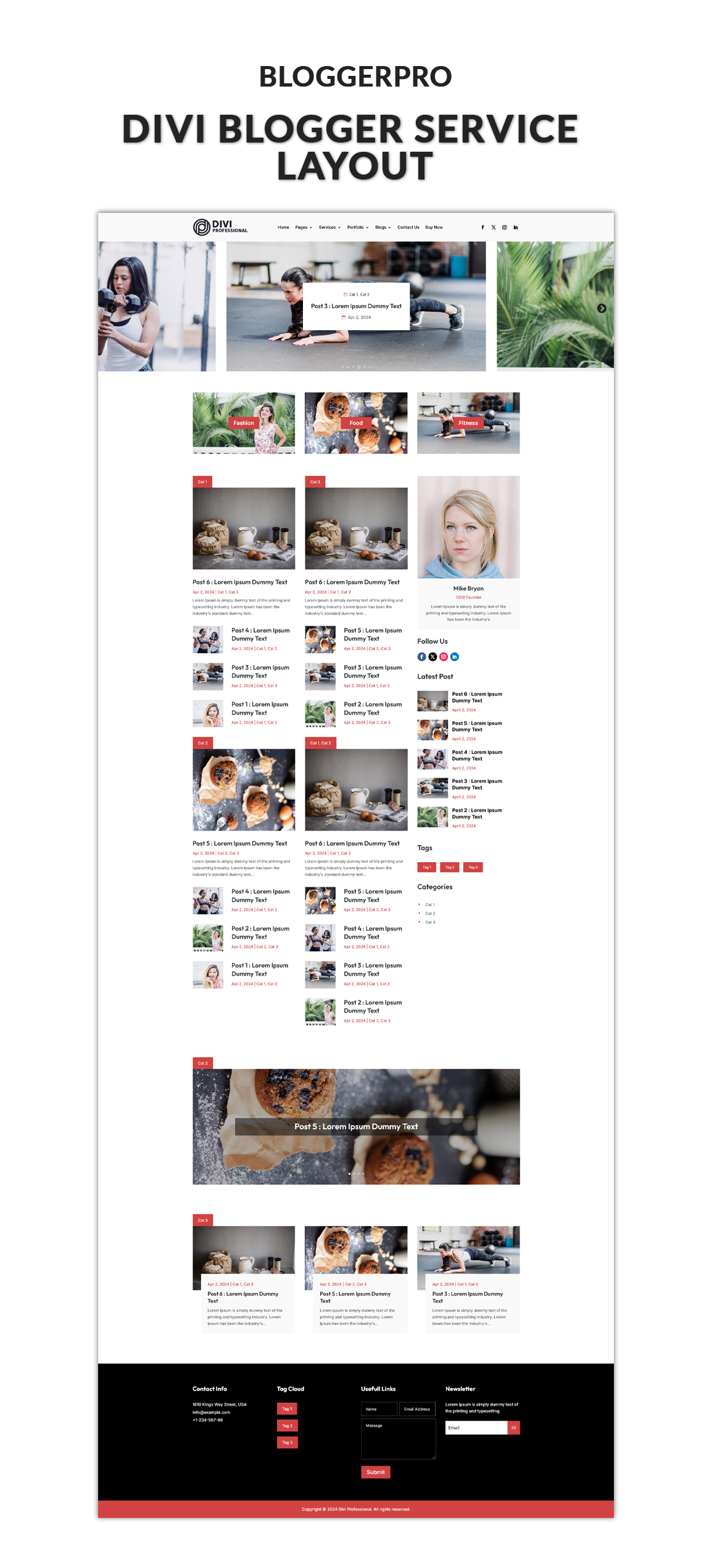 Blogger Pro Divi Layout Blogger Pro Divi Layout